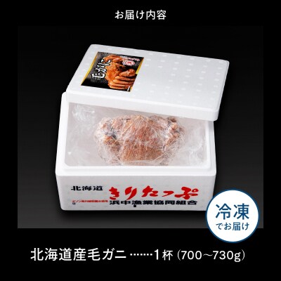 北海道産 毛ガニ1杯(700～730g)_H0001-1311