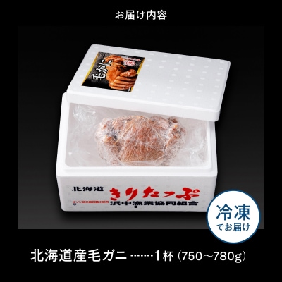 北海道産 毛ガニ1杯(750～780g)_H0001-130
