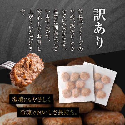 ≪値上げ予定≫【訳あり】浜中牛&ホエイ豚ハンバーグ(16個)_H0019-001
