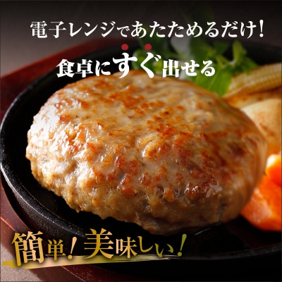 【訳あり】浜中牛&ホエイ豚 ハンバーグ 24個 惣菜_ H0019-102