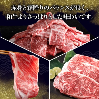 ≪値上げ予定≫<全6回・連続>浜中牛づくし定期便_H0019-007