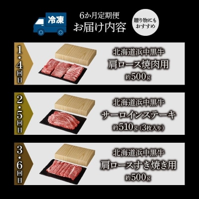 <全6回・連続>浜中牛づくし定期便_H0019-122