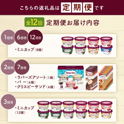 <全12回・連続>1年定期便!ハーゲンダッツ人気セット_H0016-177