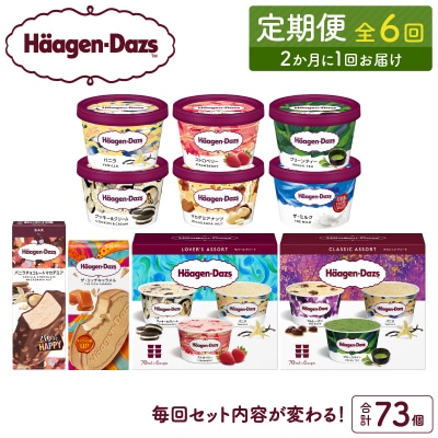 <全6回・隔月>食べ比べ定期便!ハーゲンダッツ人気セット_H0026-022