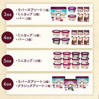 <全6回・隔月>食べ比べ定期便!ハーゲンダッツ人気セット_H0016-178