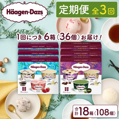 <全3回・連続>お試し定期便!アソートボックスセット_H0016-152