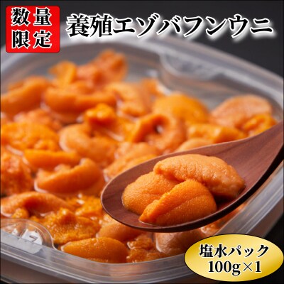 ≪値上げ予定≫【数量限定】浜中産　養殖エゾバフンウニ(塩水パック)100g_H0009-003