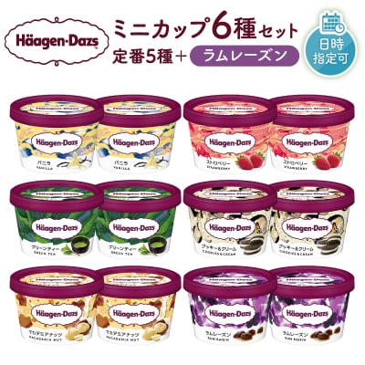 ハーゲンダッツ『ミニカップ12個セット(定番フレーバー&ラムレーズン味)』_H0016-113