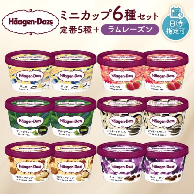 ハーゲンダッツ『ミニカップ12個セット(定番フレーバー&ラムレーズン味)』_H0016-113