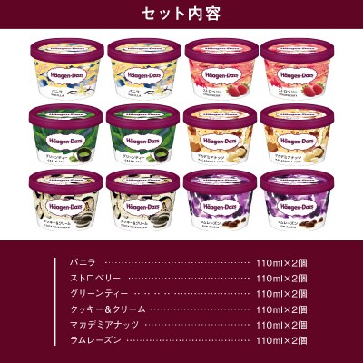 ハーゲンダッツ『ミニカップ12個セット(定番フレーバー&ラムレーズン味)』_H0016-113