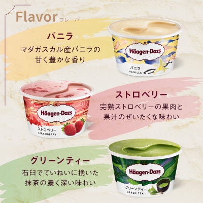 ハーゲンダッツ『ミニカップ12個セット(定番フレーバー&ラムレーズン味)』_H0016-113