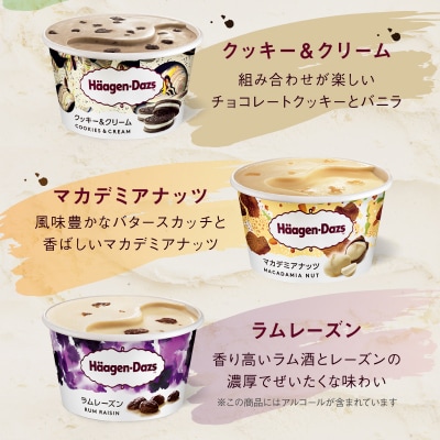 ハーゲンダッツ『ミニカップ12個セット(定番フレーバー&ラムレーズン味)』_H0016-113