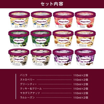 ハーゲンダッツ『ミニカップ12個セット(定番フレーバー&ラムレーズン味)』_H0016-113