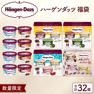 【数量限定!!】大人の贅沢アイスクリーム福袋(アソートボックス&ミニカップ)_H0026-067