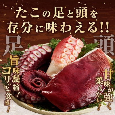 浜中のたこ食べ比べセット(合計1.2kg以上)_H0023-116