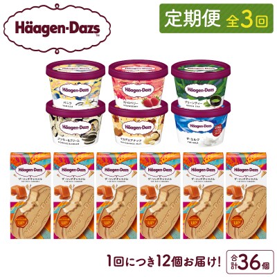 <全3回定期便・連続>ハーゲンダッツ『ミニカップ&クリスピーサンド(36個)』_H0016-137