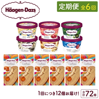 <全6回定期便・連続>ハーゲンダッツ『ミニカップ&クリスピーサンド(72個)』_H0026-042