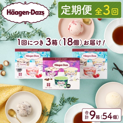 <全3回定期便・連続>『アソートボックス3箱セット(合計9箱)』_H0026-035-n