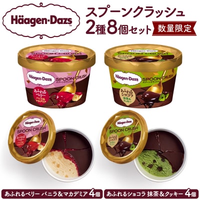 【数量限定】ハーゲンダッツ『SPOON CRUSH2種セット(合計8個)』_H0026-029