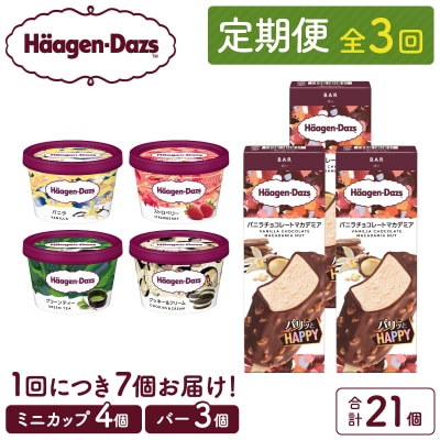 <全3回定期便・連続>ハーゲンダッツ『ミニカップ&バーセット(合計21個)』_H0026-030