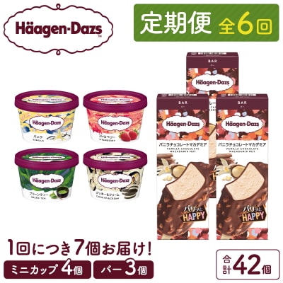 <全6回定期便・連続>ハーゲンダッツ『ミニカップ&バーセット(合計42個)』_H0016-173
