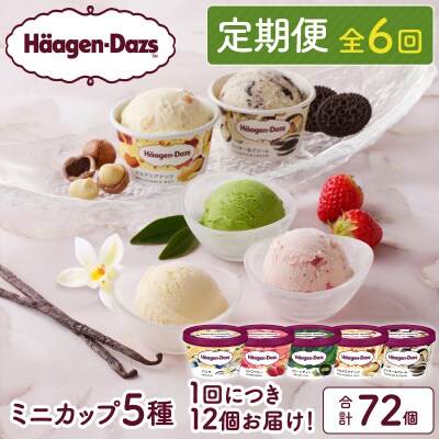 <全6回定期便・連続>ハーゲンダッツ『定番ミニカップ5種セット(合計72個)』_H0016-158