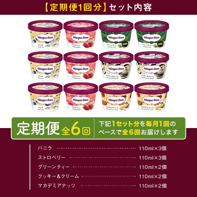 <全6回定期便・連続>ハーゲンダッツ『定番ミニカップ5種セット(合計72個)』_H0016-158