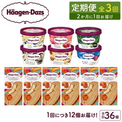 <全3回定期便・隔月>ハーゲンダッツ『ミニカップ&クリスピーサンド(計36個)』_H0026-048
