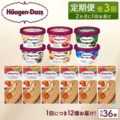 <全3回定期便・隔月>ハーゲンダッツ『ミニカップ&クリスピーサンド(計36個)』_H0016-140