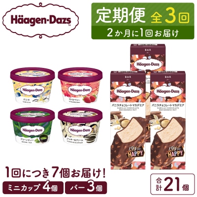 <全3回定期便・隔月>ハーゲンダッツ『ミニカップ&バーセット(合計21個)』_H0016-175