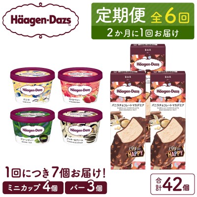 <全6回定期便・隔月>ハーゲンダッツ『ミニカップ&バーセット(合計42個)』_H0016-176