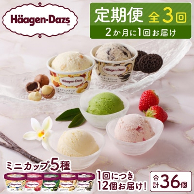 <全3回定期便・隔月>ハーゲンダッツ『定番ミニカップ5種セット(合計36個)』_H0016-160