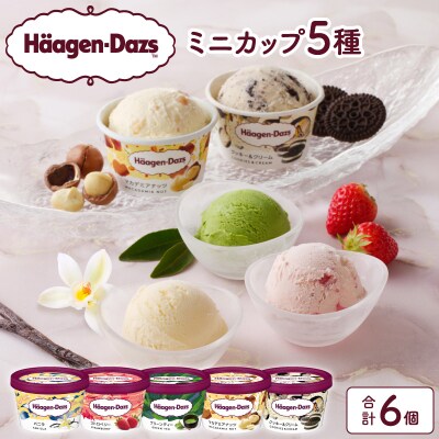 【着日指定できます!!】ハーゲンダッツ『定番ミニカップ5種セット(合計6個)』_H0016-102