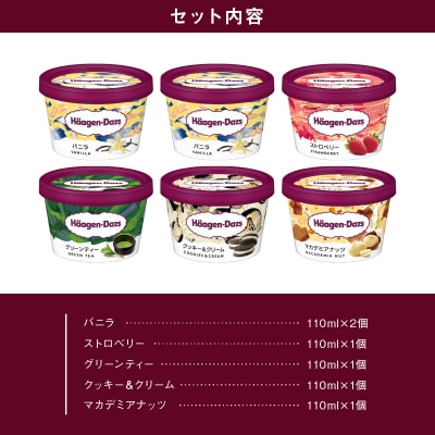 ハーゲンダッツ『定番ミニカップ5種セット(合計6個)』アイスクリーム_H0016-015