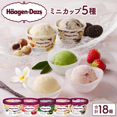 【着日指定できます!!】ハーゲンダッツ『定番ミニカップ5種セット(合計18個)』_H0016-016
