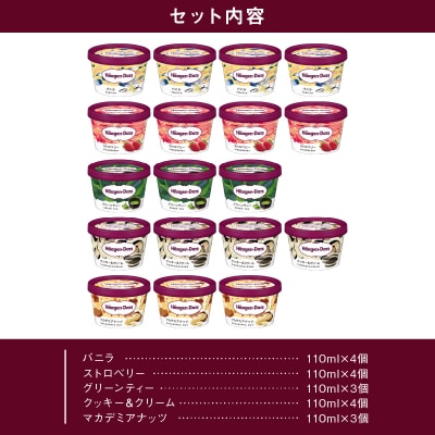 ハーゲンダッツ『定番ミニカップ5種セット(合計18個)』アイスクリーム_H0016-016