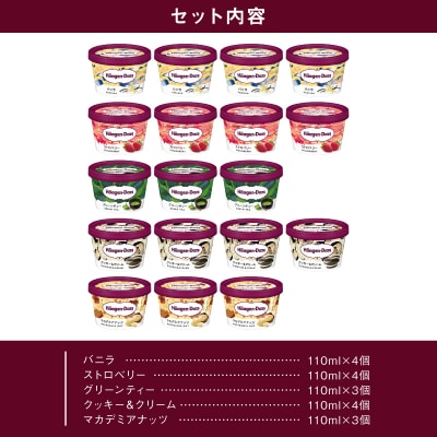 【着日指定できます!!】ハーゲンダッツ『定番ミニカップ5種セット(合計18個)』_H0016-127