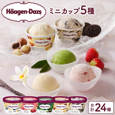 【着日指定できます!!】ハーゲンダッツ『定番ミニカップ5種セット(合計24個)』_H0016-017