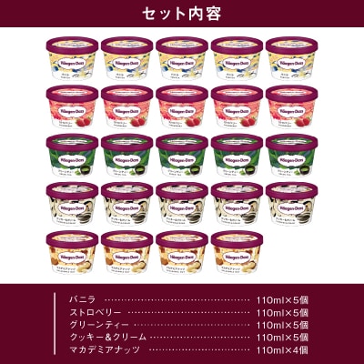 ハーゲンダッツ『定番ミニカップ5種セット(合計24個)』アイスクリーム_H0016-017