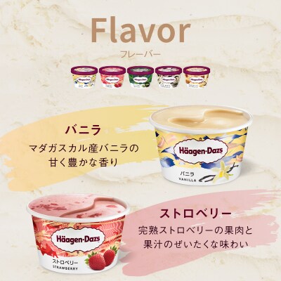 【着日指定できます!!】ハーゲンダッツ『定番ミニカップ5種セット(合計24個)』_H0016-133
