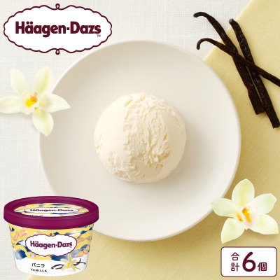 ハーゲンダッツ『ミニカップ6個セット(バニラ味)』アイスクリーム_H0016-018