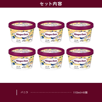 ハーゲンダッツ『ミニカップ6個セット(バニラ味)』アイスクリーム_H0016-018