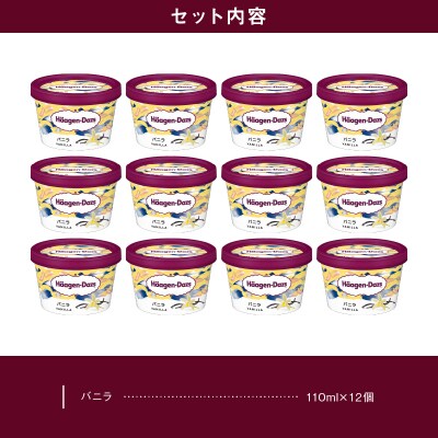 ハーゲンダッツ『ミニカップ12個セット(バニラ味)』アイスクリーム_H0016-116