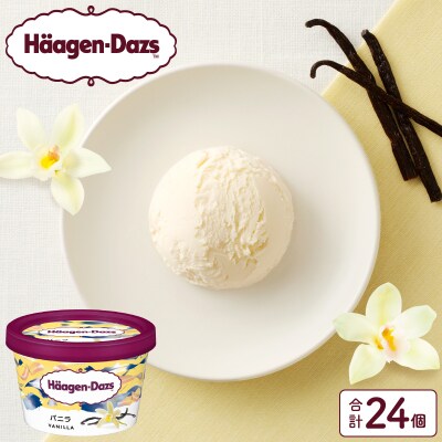 ハーゲンダッツ『ミニカップ24個セット(バニラ味)』アイスクリーム_H0016-129