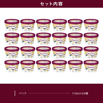 ハーゲンダッツ『ミニカップ24個セット(バニラ味)』アイスクリーム_H0016-021