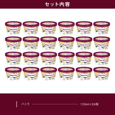 ハーゲンダッツ『ミニカップ24個セット(バニラ味)』アイスクリーム_H0016-129