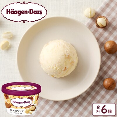 ハーゲンダッツ『ミニカップ6個セット(マカデミアナッツ味)』アイスクリーム_H0016-026