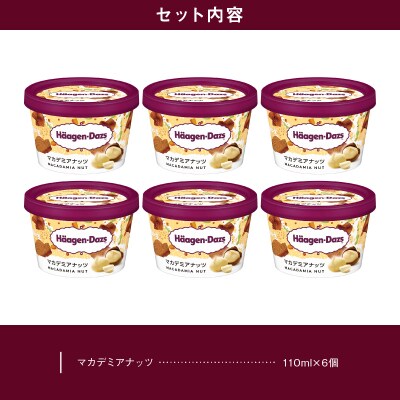 ハーゲンダッツ『ミニカップ6個セット(マカデミアナッツ味)』アイスクリーム_H0016-026