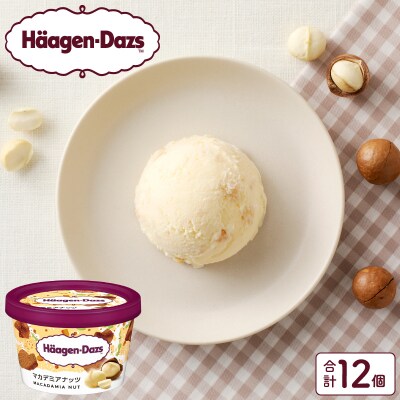 ハーゲンダッツ『ミニカップ12個セット(マカデミアナッツ味)』アイスクリーム_H0016-118
