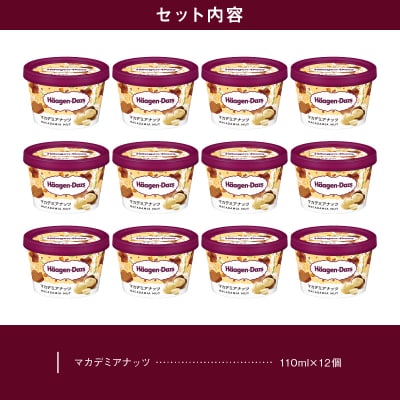 ハーゲンダッツ『ミニカップ12個セット(マカデミアナッツ味)』アイスクリーム_H0016-027